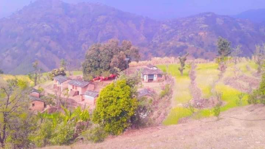 दार्चुलाको पारशिला मन्दिरको चिनारी  