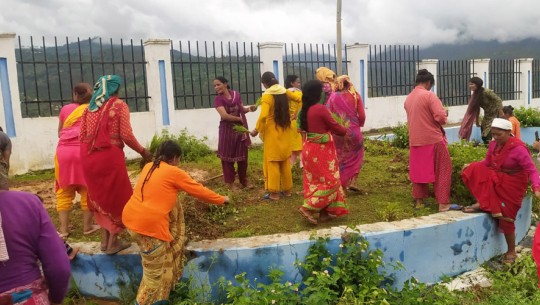 तस्बिर : केशवराज भट्ट