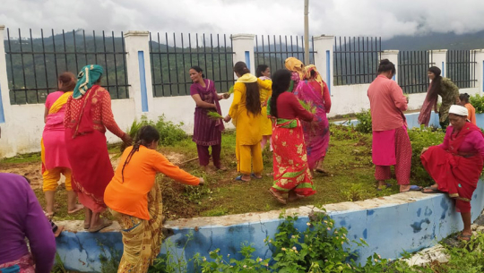 Locals plant paddy at incomplete bus park in Baitadi as protest