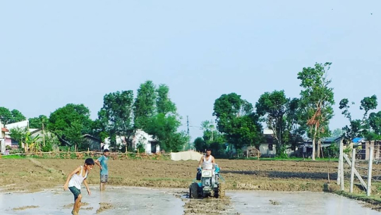 रोपाई सुरु हुँदा पनि मल पाएनन् सुदूरपश्चिमका किसानले