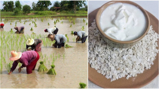 फाइल फोटो