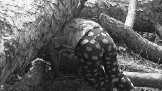 अछाममा रुखले च्यापिएर एक युवतीको मृत्यु