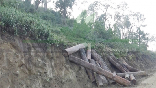 कैलालीको चुरे क्षेत्रका सामुदायिक वनमाथि छानविन जारी