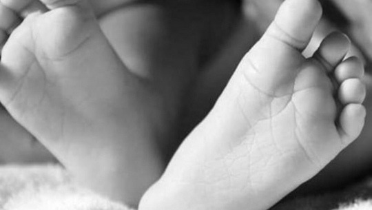 Five-year-old girl dies from snake bite in Kailali