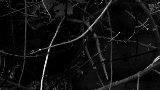 Unidentified Man's Body Discovered Near Siddhababa Temple in Doti