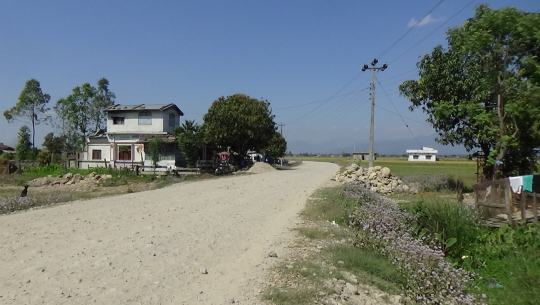 कञ्चनपुरको कृष्णपुरलाई धनगढीसँग जोड्ने सडक अलपत्र