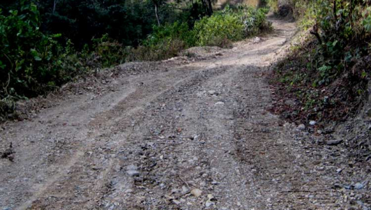 फाइल फोटो