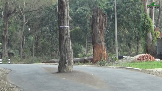 प्रक्रिया नपुगाई सडक निर्माण भईरहेको वनको आरोप