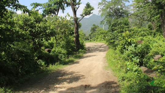 धनगढी–दीपायल द्रुतमार्गको ३३ किलोमिटर कालोपत्रे गर्न नयाँ ठेक्का, पुरानो काम अलपत्र