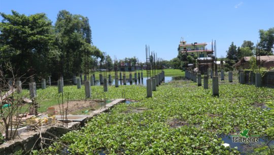 धनगढीको ‘सड्बाबा ताल’ व्यक्तिको कब्जामा, के गर्दैछ उपमहानगर ?