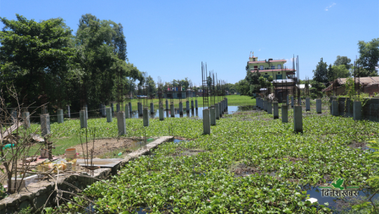 Sadhbaba Lake encroached by a local in Dhangadhi