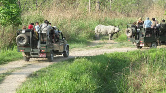 बर्खायाम सुरु भएसँगै शुक्लाफाँटा राष्ट्रिय निकुञ्जमा जंगल सफारी बन्द