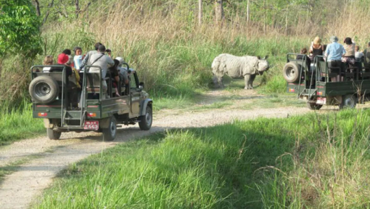 शुक्लाफाँटा राष्ट्रिय निकुञ्जमा पर्यटकको आकर्षण बढ्दो