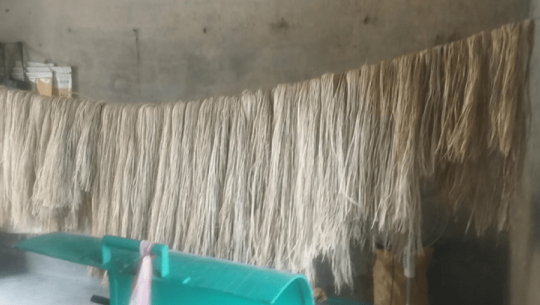 Rising demand for banana fiber products in Kailali