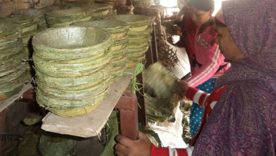 दुना टपरी बिक्रीबाट आकर्षक आम्दानी