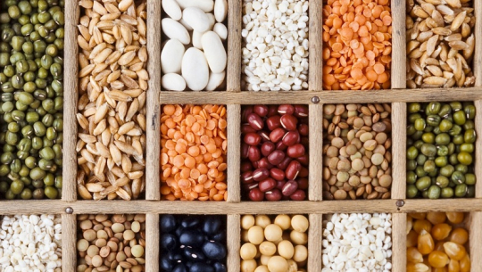 बीजवृद्धि विस्तारमा कैलालीका सहकारी संस्था