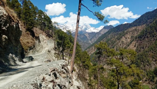 सेती लोकमार्गको डोटी खण्डमा पर्ने वनका रुख कटान गर्न स्वीकृत