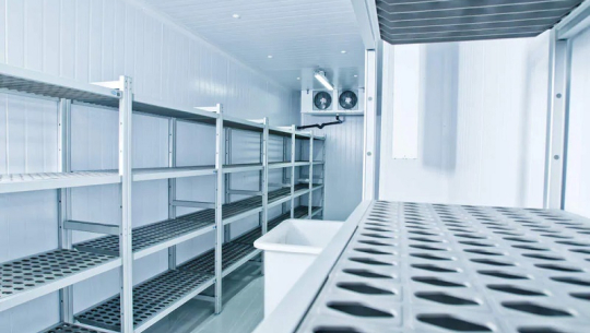 फाइल फोटो