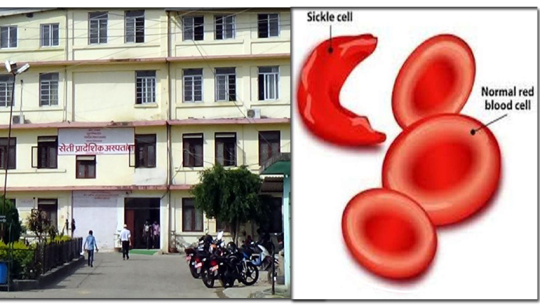कैलाली कञ्चनपुरमा सिकलसेलका बिरामी बढे, प्रदेश सरकारको नीति तथा कार्यक्रम कागजमै सीमित