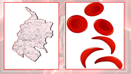 सुदूरपश्चिममा उपचार नपाएरै जान्छ सिकलसेल विरामीको ज्यान