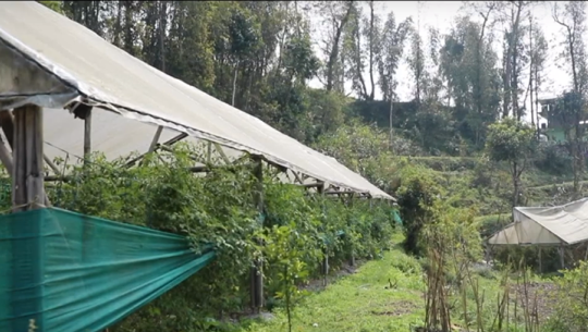 भाग २: जैविक खेती सिक्किमको पहिचान