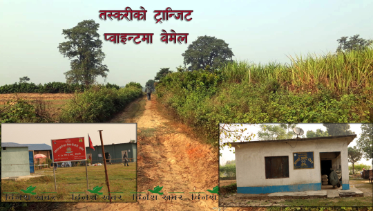 तस्करीको ट्रान्जिट प्वाइन्टमा जनपथ र सशस्त्रको बेमेल, निम्त्यायो दुर्घटना !