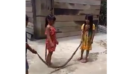 सर्पसंग यसरी खेले बच्चाहरुले(भिडियो)