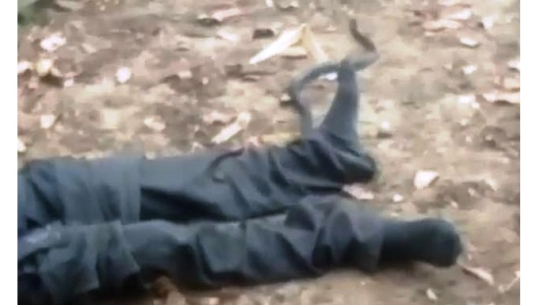 पाइन्टभित्रबाट सर्प निस्किएपछि...(हेर्नुस भिडियो)