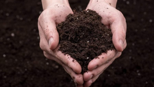 नवौँ विश्व माटो दिवस मनाइँदै