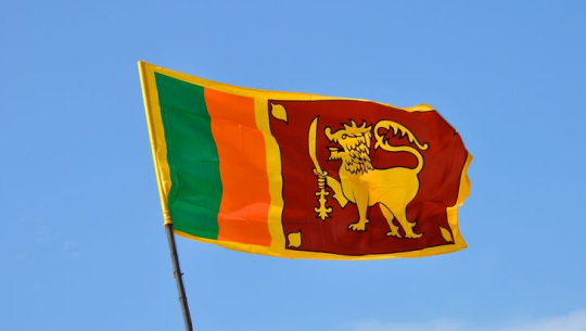 श्रीलङ्काको मौज्दात ५० करोड अमेरिकी डलरभन्दा कम 