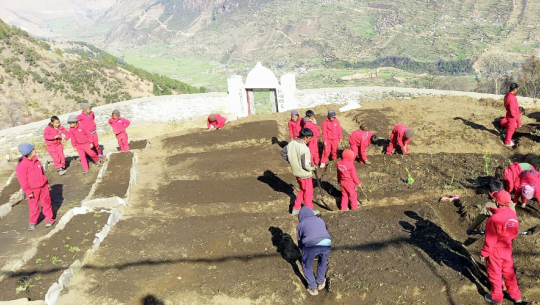 बाजुराका विद्यार्थीलाई विद्यालयमै तरकारी उत्पादन गर्न सिकाईंदै 