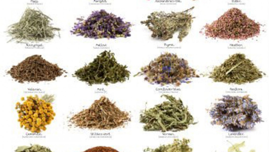 Jumla exports 61 types of herbs