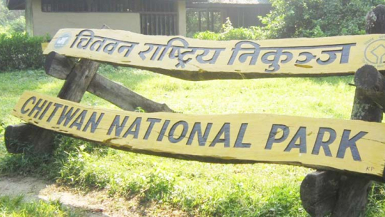 एक वर्षमै चितवनमा ४३ गैँडासहित ७७ ओटा वन्यजन्तु मरे