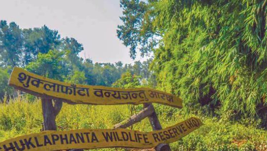 शुक्लाफाँटामा चराका प्रजाति बढ्दै