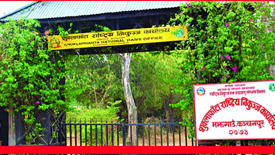 फाईल फोटो 