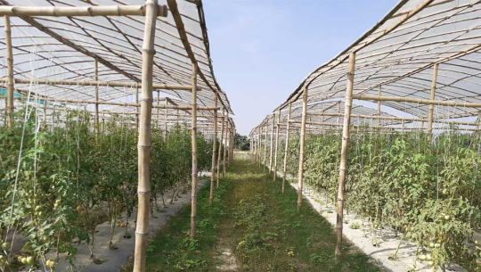 फाईल फोटो