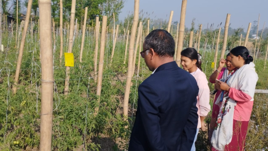 विषादीरहित तरकारी उत्पादनमा किसान