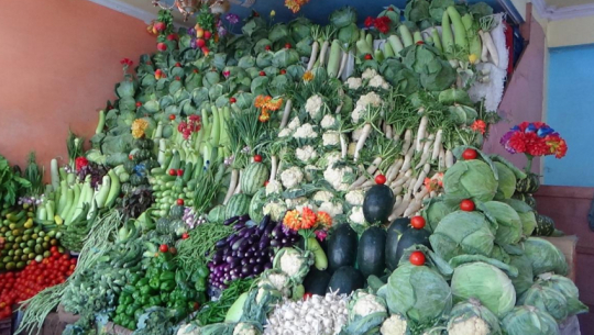 विषादी परिक्षणको व्यवस्था नहुँदा सुदूरपश्चिममा प्राणघातक रोगको समस्या बढ्दै