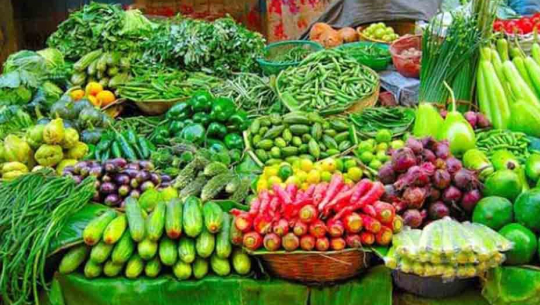 विषादी परीक्षण केन्द्रको अनुगमन गरिने