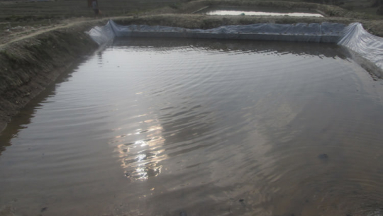 फाइल फोटो