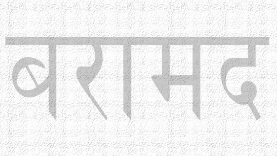 १० क्वीन्टल प्रति बन्धित झ्याउ बरामद 