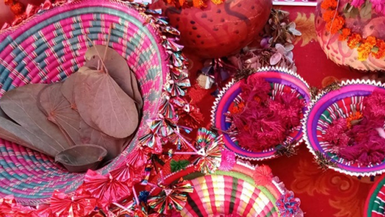 थारु समुदायमा प्रचलित  ‘औली उतर्ना पूजा’ लोपोन्मुख अवस्थामा   