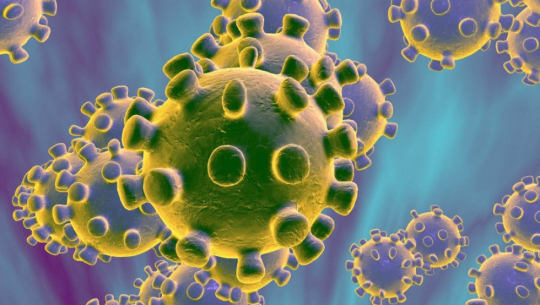 थप ५ हजार ४२ जनामा कोरोना संक्रमण, ६८ जना संक्रमितको मृत्यु