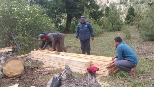 दार्चुलामा ५१ थान काठ बरामद
