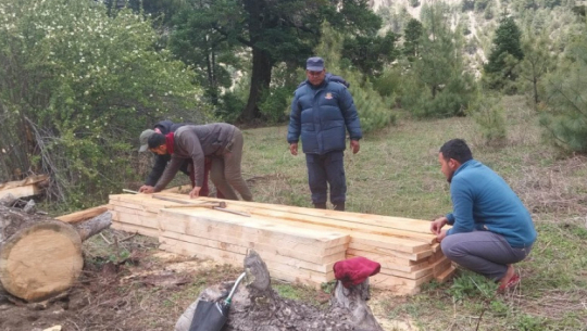 Illegal Timber Seized in Darchula: 51 Pieces Recovered