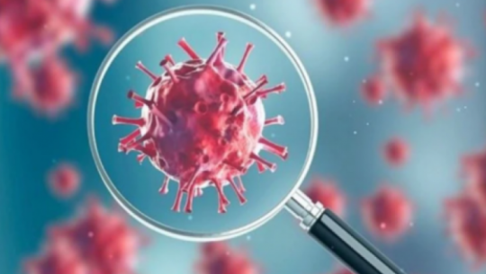 295 new cases of COVID-19