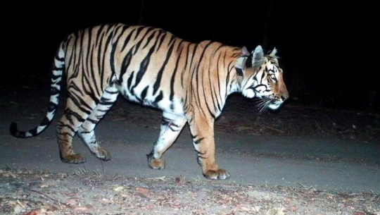 फाइल फोटो