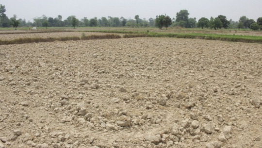 Floods impact 230 families in Kanchanpur; 35 at high risk