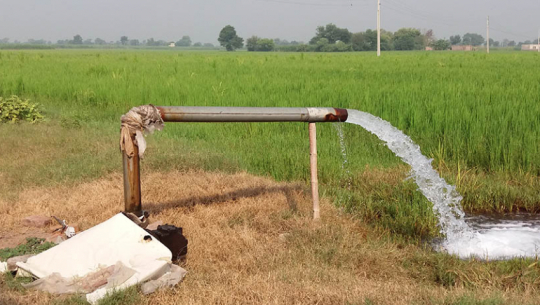 Deep tube wells bring irrigation to 240 bighas of farmland in Kanchanpur