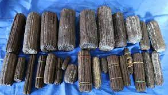 फाइल फोटो 